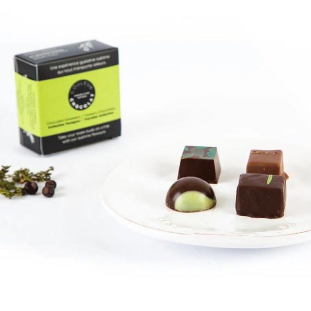 Chocolats forestiers, collection voyageur