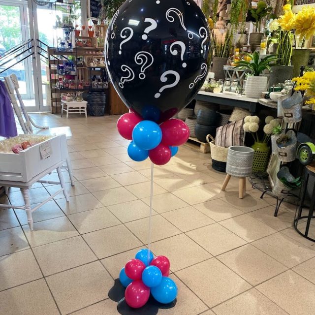 Ballon dévoilement de sexe