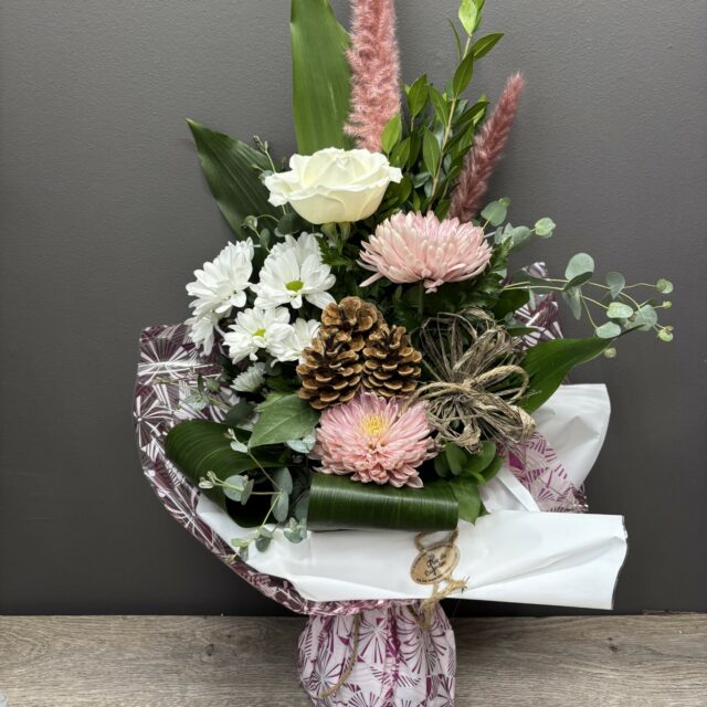 En ce début de l'hiver