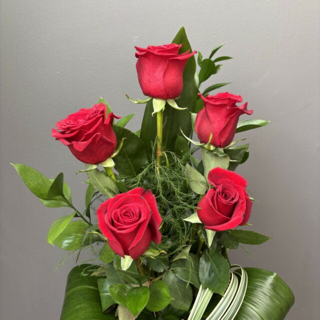 5 fois l’Amour – Roses colorées ou rouges ❤️🌹