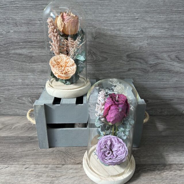 Rose Éternelle sous Dôme de Verre 🌹