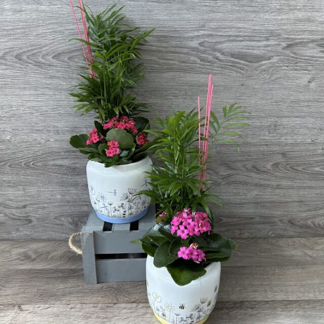 Jardin printanier