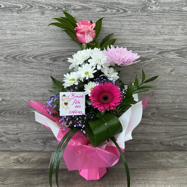 Éclat de Tendresse🌸