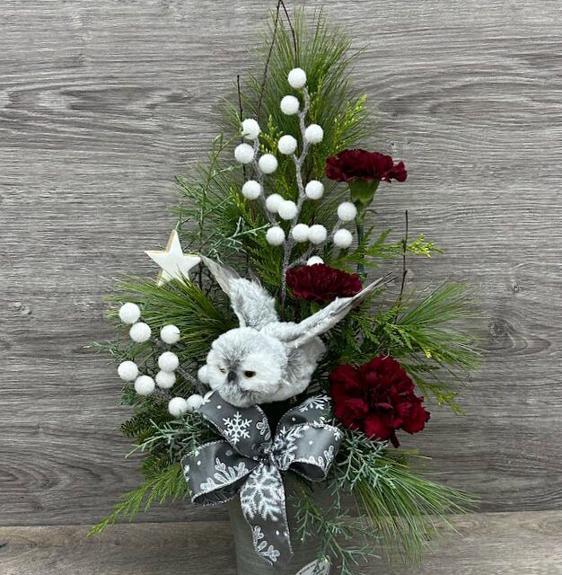 La chouette enneigée