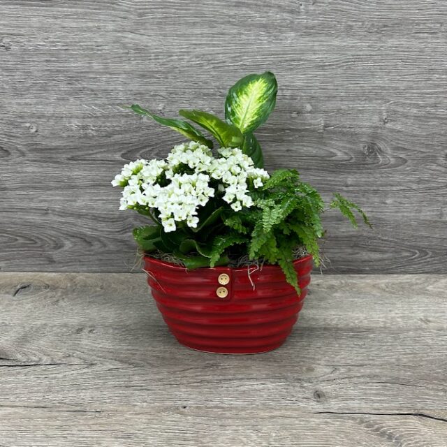 Jardin rouge élégance