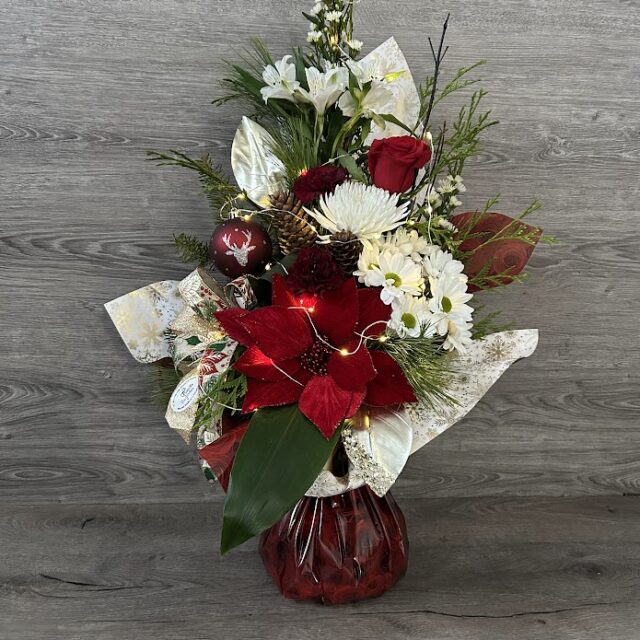 ⭐️La féerie de Noël⭐️