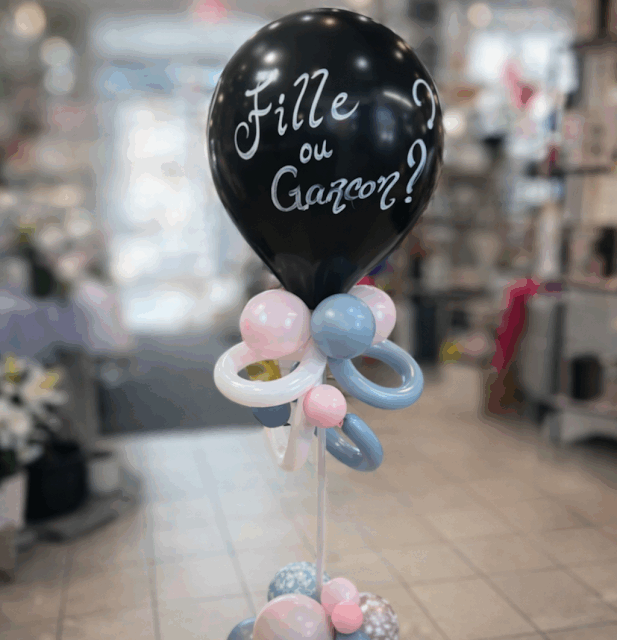 Ballon Gender Reveal 🎈