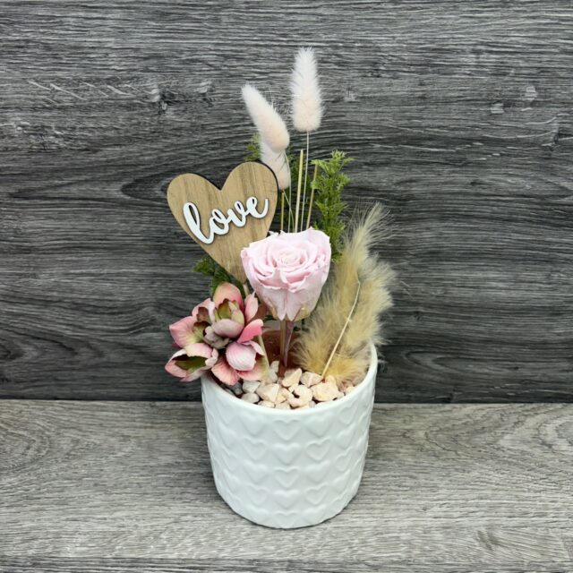 L'éternelle Love 🌷