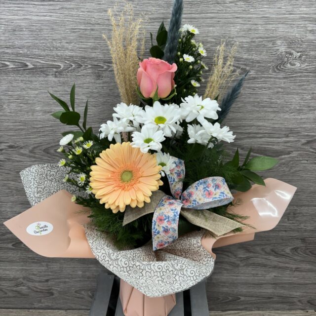 Tendre printemps 🌸🤍