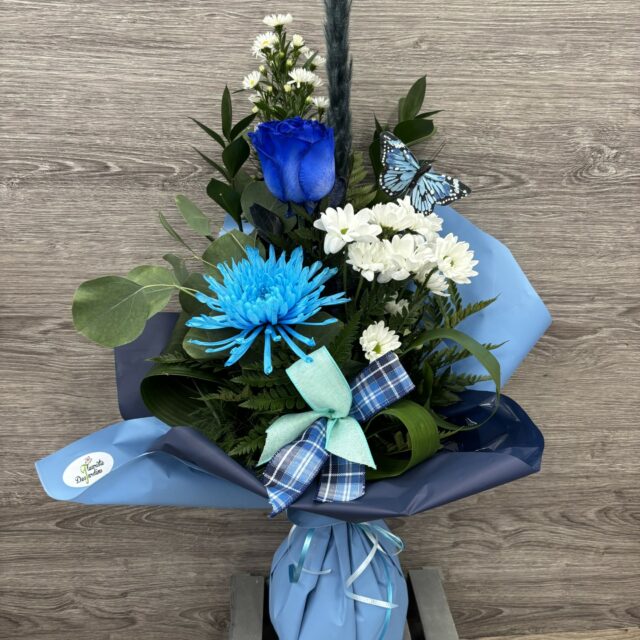 Éclat de bleuets🫐💙