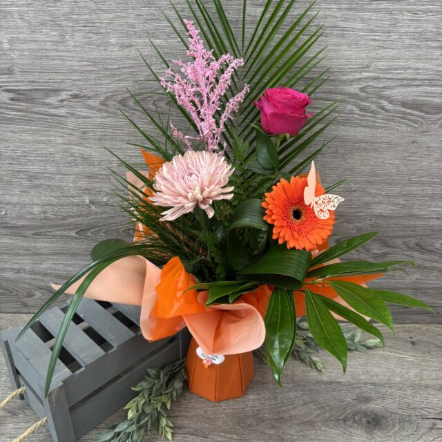 Éclat tropical🧡
